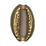 Small Gold Colour Open Shell +&pound;0.70