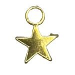 Small Gold Colour Star +&pound;0.70